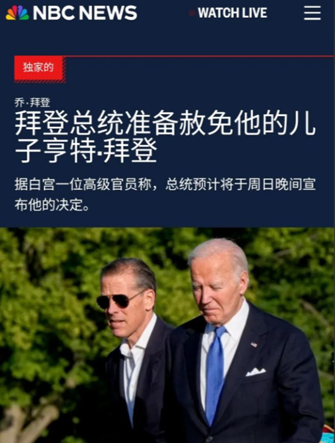 罪的儿子6月份重申不会赦免曾经感动全世界九游会真人游戏第一品牌拜登赦免有9项认(图3)