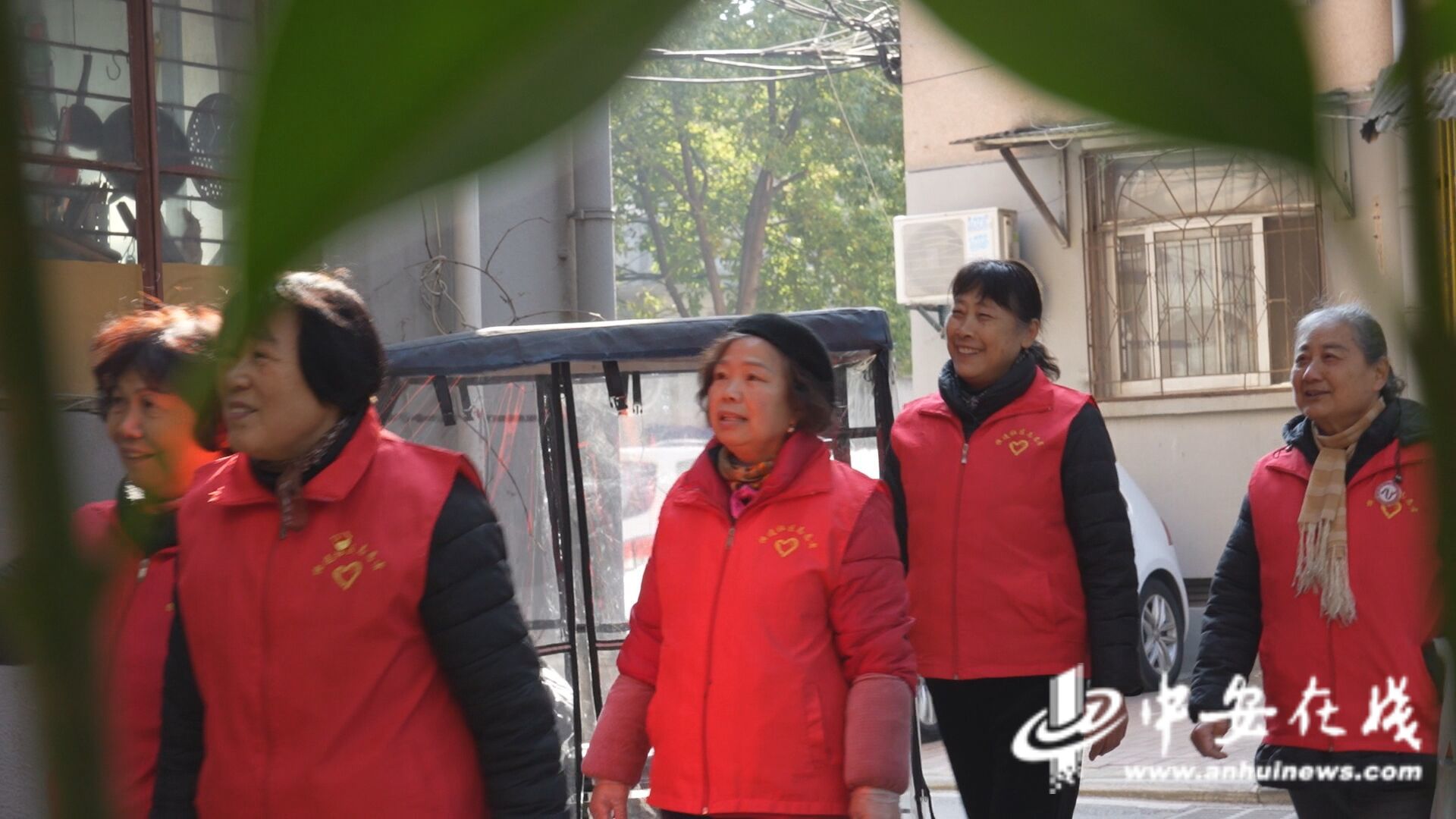 察｜“窗帘之约”的无声守护j9九游会网站入口中安观(图2)